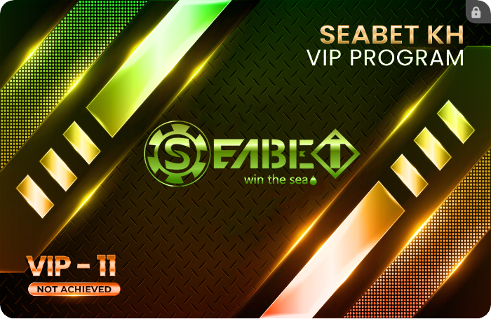 vip11